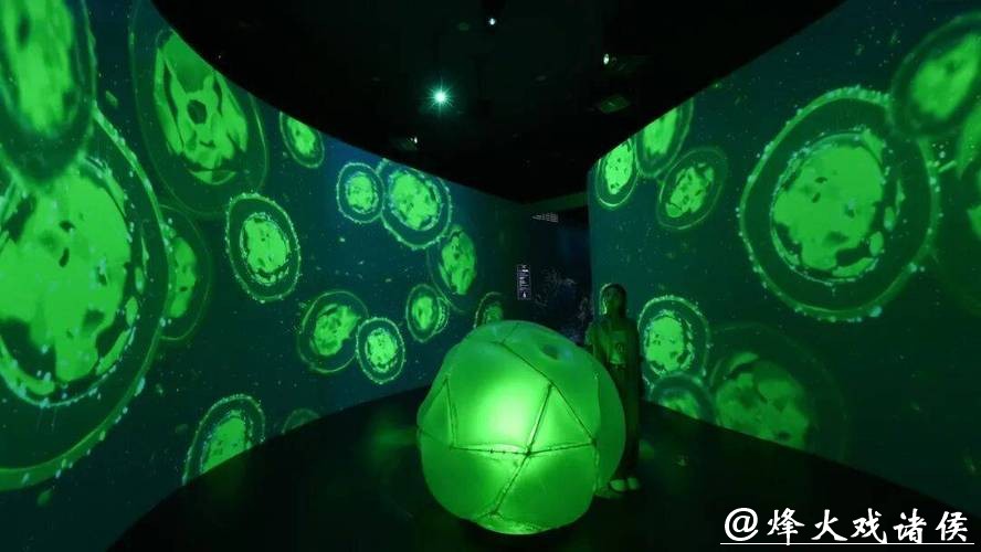 穿越46亿年 《重返海洋》科学艺术展在国家海洋博物馆启幕 穿越46亿年 《重返海洋》科学艺术展在国家海洋博物馆启幕